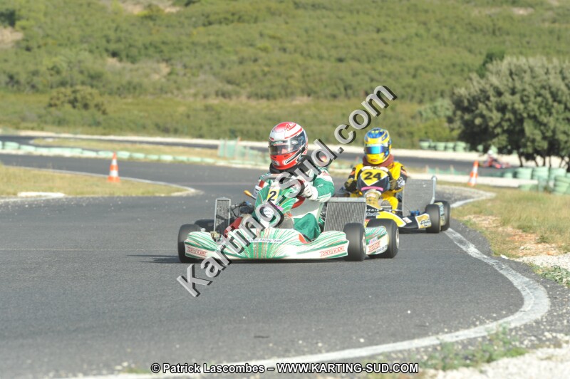 DSC (4123).JPG